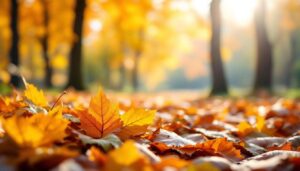Warum man Laub im Herbst nicht vollständig entfernen sollte